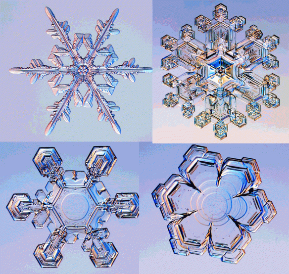 frosty-snowflakes