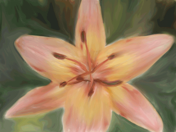 daylily3-painter