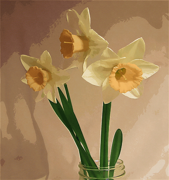 3-daffodils-photo-edited